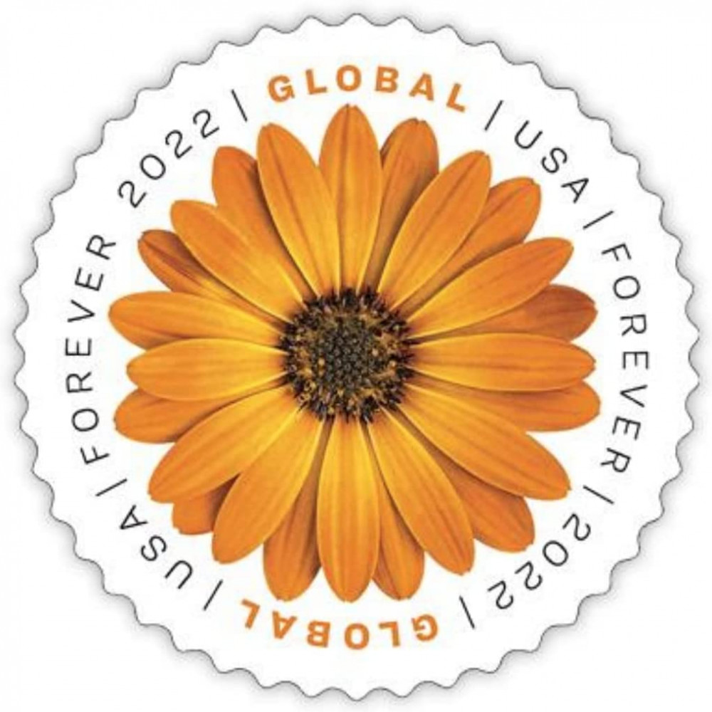 (2022) USPS Global Forever International Mail African Daisy Postage Stamps