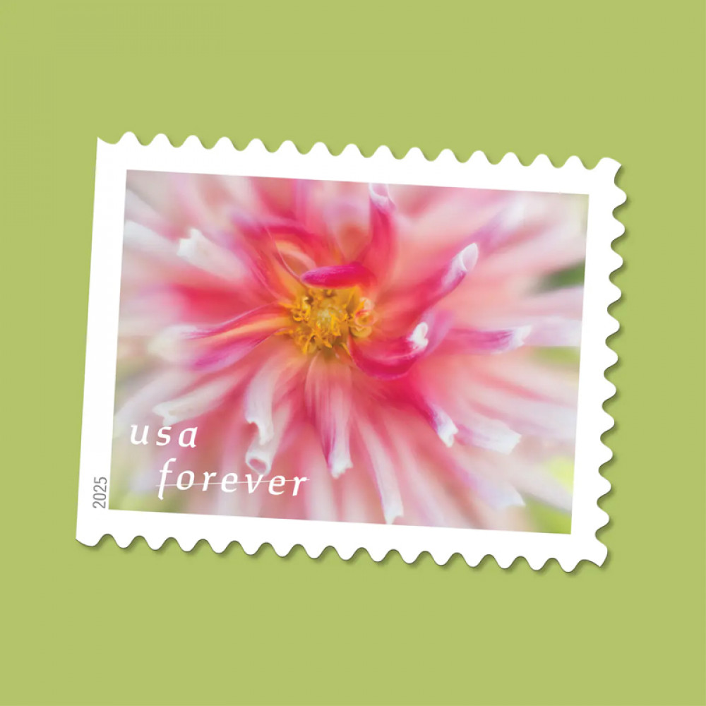2025 Dahlias Stamps Book of 20